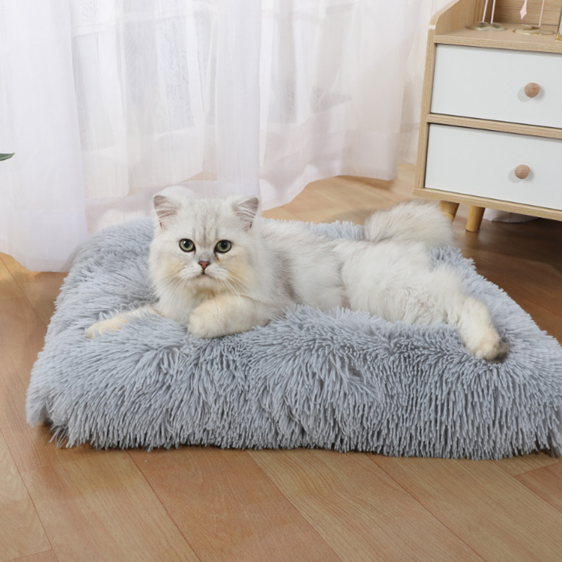 Alas Tidur Anjing Baru dari Am - Pet Supplies Amazon ulasan dan harga