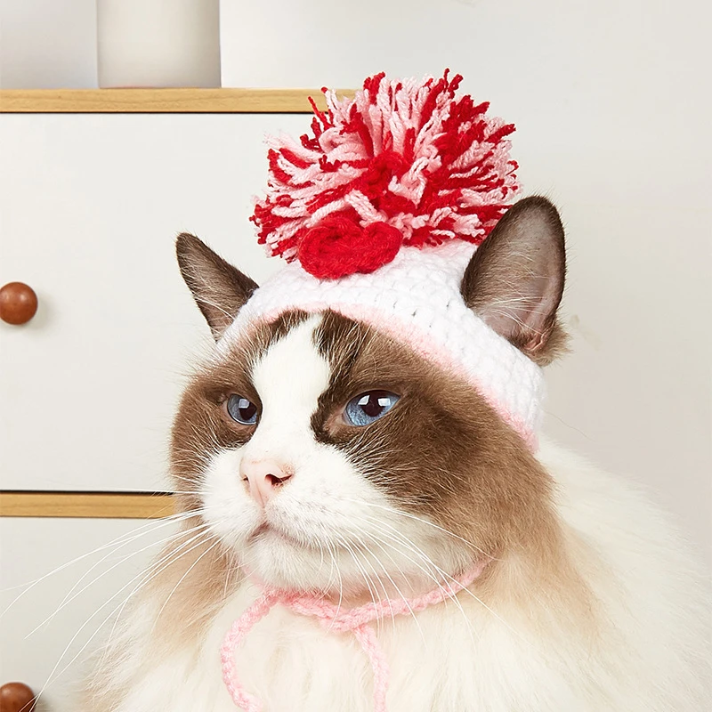 Topi rajutan hewan peliharaan  - Pet Supplies Amazon ulasan dan harga