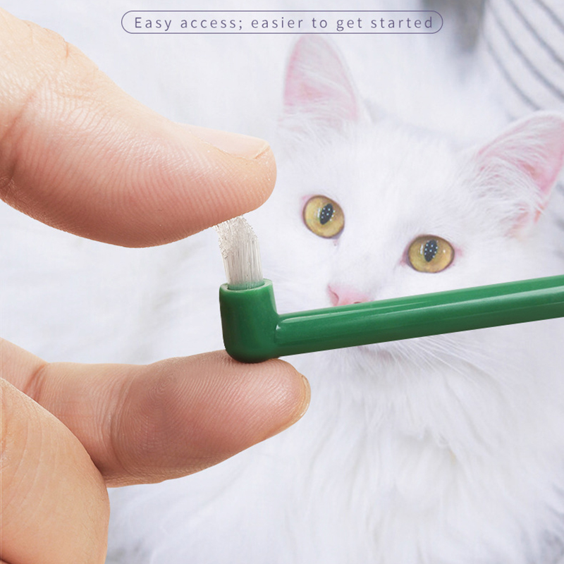 Sikat Gigi Anjing Kucing Mikro - Pet Supplies Coupon ulasan dan harga