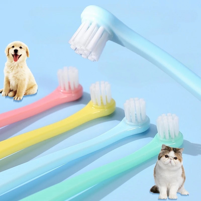 Sikat Gigi Anjing, Sikat Pembe - Pet Supplies Coupon ulasan dan harga