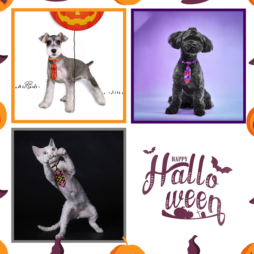 50/100 Buah Halloween Aksesori - Pet Supplies Coupon ulasan dan harga