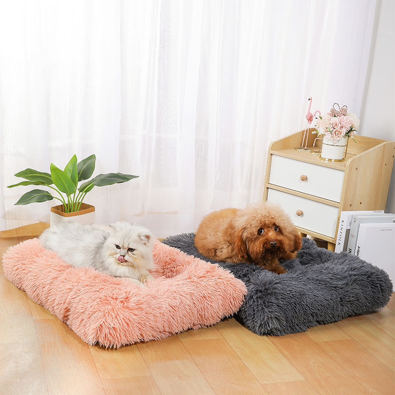 Alas Tidur Hewan Peliharaan Am - Pet Supplies Amazon ulasan dan harga