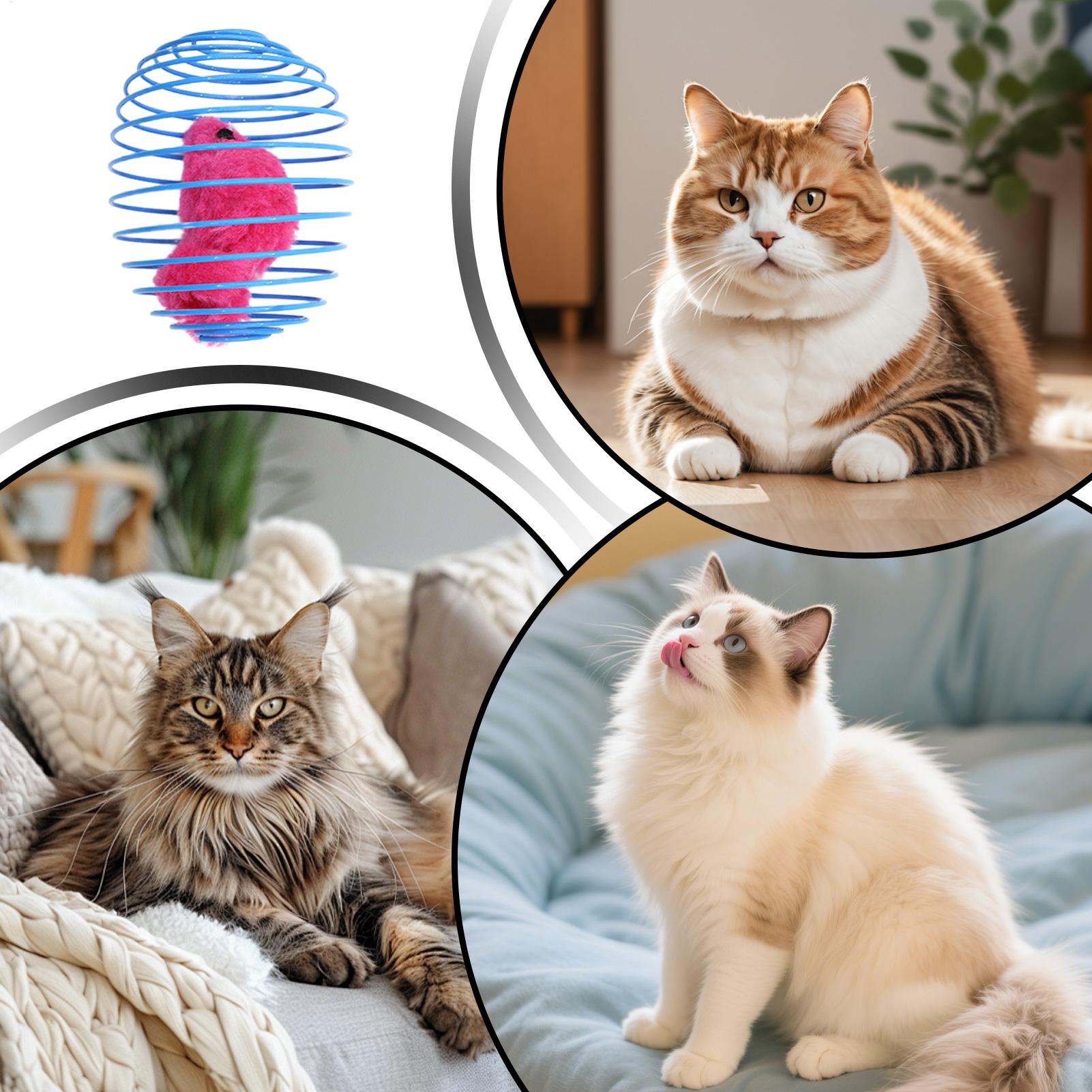 Mainan Spiral Kucing Interakti - Cat Tunnel Toy ulasan dan harga