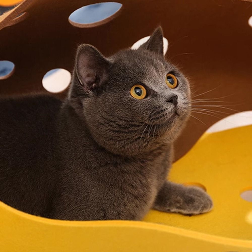 Terowongan Kucing Lipat Tahan  - Cat Tunnel Toy ulasan dan harga