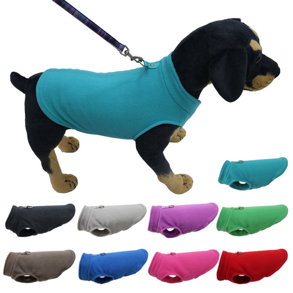 Eropa, Amerika, pakaian hewan  - Pet Supplies Amazon ulasan dan harga
